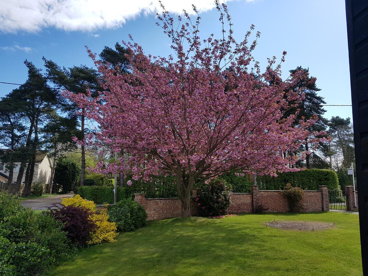Leeward Bed & Breakfast South Walsham Exterior foto